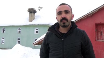 sonbahar - İki leylek Yüksekova'yı mesken tuttu - HAKKARİ  Videosu