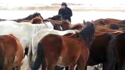 Hayatını atlara adayan 'kovboy Ali Dayı' - KAYSERİ 