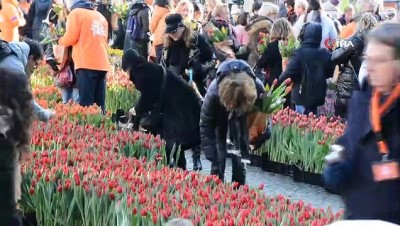  - Hollanda’da Ulusal Lale Günü’ne Yoğun İlgi