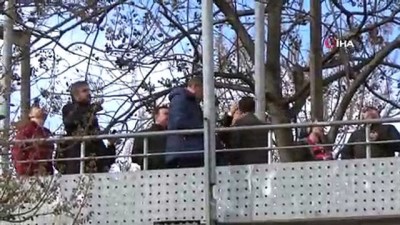 canli yayin -  İntihar teşebbüsünü, film çeker gibi kaydettiler  Videosu