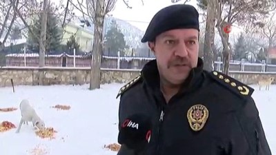 sokak kopegi -  Sokak hayvanlarına polis merhameti  Videosu