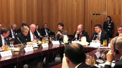 demirli - Tarım ve Orman Bakanı Bekir Pakdemirli - BERLİN  Videosu