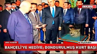 kazakistan - Bahçeli'ye doğum gününde kurt kafası hediyesi Videosu