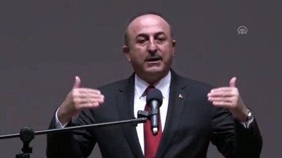 tikad - Çavuşoğlu : 'Türk dış politikamızın temel çerçevesi uygulamada girişimci ve insani dış politikadır' - ANKARA Videosu