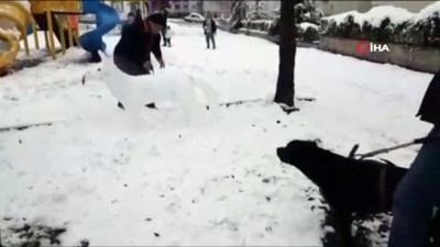 cimento fabrikasi -  Kardan köpeği gerçek sanınca...  Videosu