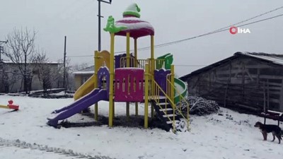 aktuel -  10 haneli köye 3 muhtar adayı  Videosu