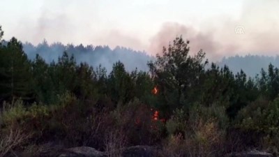 makilik alan - Orman yangını - OSMANİYE Videosu