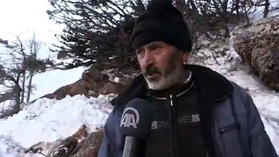 dag kecisi - Telef olmuş 5 dağ keçisi bulundu - ADIYAMAN  Videosu