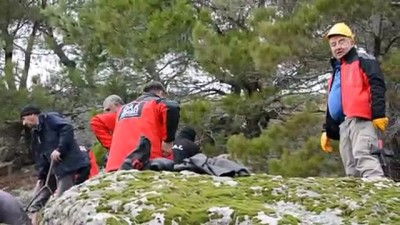 Demirci'de uçurumda mahsur kalan 12 keçi kurtarıldı - MANİSA