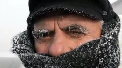 sokak kopekleri - Doğu Anadolu'da soğuk hava - ARDAHAN  Videosu