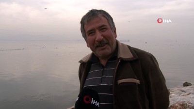 kacak avci -  Göçmen kuşların uğrak yeri haline gelen Kocaeli Körfezi havadan görüntülendi  Videosu