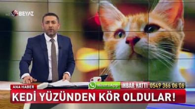 Kedi yüzünden kör oldular