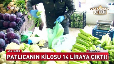 Patlıcan'ın kilosu 14 liraya çıktı