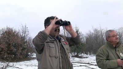 biyoloji - Yaban hayatı onlara emanet - KASTAMONU  Videosu