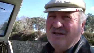 buyukbas hayvan -  Otomobildeki buzağı görenleri şaşırttı  Videosu