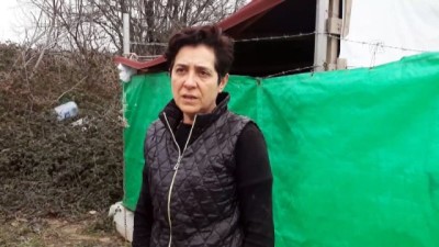 Sahibi öldürülen köpeğe KEHAYKO sahip çıktı - EDİRNE