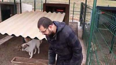 Barınaktaki hayvanlara elektrikli ısıtıcı - MARDİN 