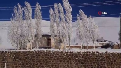  Çaldıran'da hayat dondu... Ağaçlar buzdan heykellere döndü 