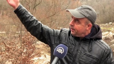 Gebe ineği tüfekle vurarak, parçalara ayırıp çalmışlar - KIRKLARELİ 