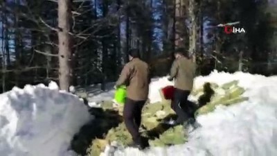  Karda yiyecek bulamayan yaban hayvanları için yem bıraktılar 