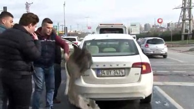  Sultangazi’de kaza üstüne kaza: Kilometrelerce araç kuyruğu oluştu 