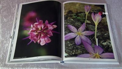 herbaryum -  Adana'daki 470 çeşit endemik bitki 15 yıl süren emekle kitaplaştırıldı  Videosu