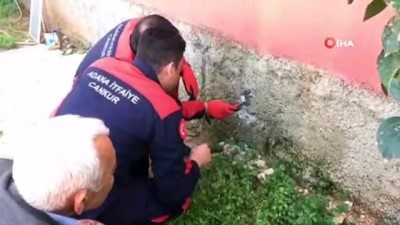  Duvardaki oyuğa sıkışan kedi böyle kurtarıldı 
