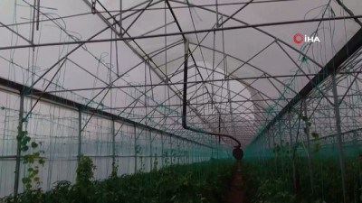 siddetli ruzgar -  Fırtına plastik seralara zarar verdi, ağaçları devirdi  Videosu