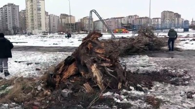 siddetli ruzgar - Kayseri'de devrilen ağacın altında kalan kişi öldü Videosu
