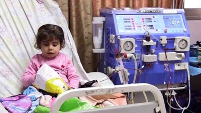 solunum cihazi - Gazze'deki yakıt krizi çocukların hayatını tehdit ediyor - GAZZE  Videosu
