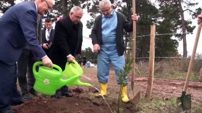 kamu yarari - Sakarya'da 'Adalet Ormanı' oluşturuldu Videosu