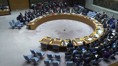 insani kriz - ABD'den BM Güvenlik Konseyine Venezuela çağrısı - NEW YORK Videosu