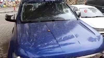 nani -  Antalya'nın Kaş İlçesi toz bulutuna esir oldu  Videosu