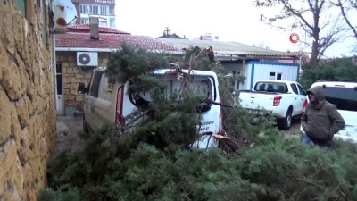 siddetli ruzgar -  Ayvacık’ta şiddetli rüzgar ağaç devirdi  Videosu