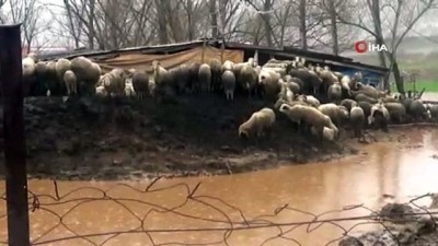 asiri yagis -  Manisa’da çiftliği su bastı, 20 küçükbaş hayvan telef oldu Videosu