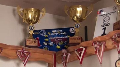 ispanya -  Sivas kangalı, İspanya’da Türkiye’yi temsil edecek  Videosu