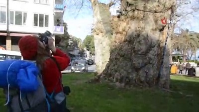 at ciftligi -  Türkiye'yi otostopla karış karış geziyor  Videosu