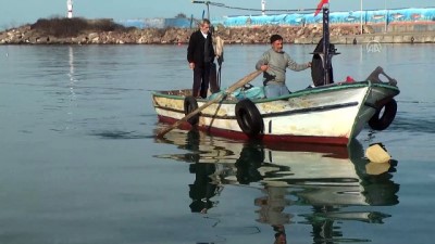 salyangoz - Batı Karadeniz'de kıyı balıkçıları erken 'paydos' dedi - DÜZCE  Videosu