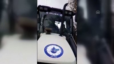 Selde mahsur kalan koyunları itfaiye kurtardı - MUĞLA