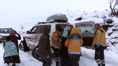 paletli ambulans - Hamile kadını paletli ambulansla hastaneye yetiştirdiler - BİTLİS Videosu