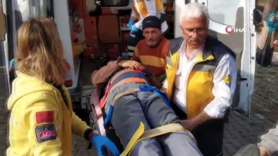 agac kesimi -  Mezarlıkta üzerine kesilen ağaç devrilen yaşlı adam ağır yaralandı Videosu