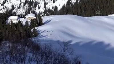 kayak tutkunlari - Heliski tutkunları Kaçkarlara hayran kaldı - RİZE  Videosu