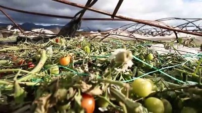 karaborsa - 'Karaborsacılar, hem tüketiciyi hem de üreticiyi zor durumda bırakıyor' - ANTALYA  Videosu