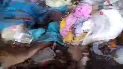 karaagac -  Çöplükte 30’dan fazla köpek ölüsü bulundu Videosu