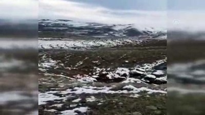 Define arayanlar suçüstü yakalandı - ELAZIĞ