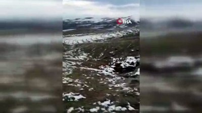 kacak -  Elazığ'da 10 kişi kaçak kazı yaparken yakalandı Videosu