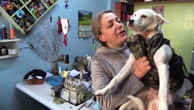 sokak kopegi - 'Fındık' 500 lira bulunamazsa ölecek - KIRKLARELİ  Videosu