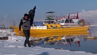 kar yagisi - Sokak hayvanlarına günlük 230 kilogram yem ve mama - VAN  Videosu