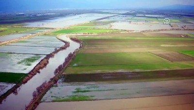 asiri yagis - '25 bin dekar tarım arazisi su altına kaldı' - AYDIN  Videosu