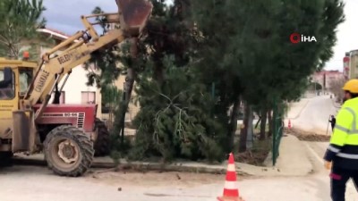 cocuk parki -  Çanakkale'de ağaç katliamı Videosu